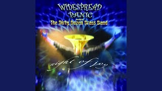 Miniatura del video "Widespread Panic - Use Me (Live)"