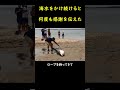 座礁したサメに海水をかけ続けると、何度も「ありがとう」と感謝を伝えて懐いてきた！
