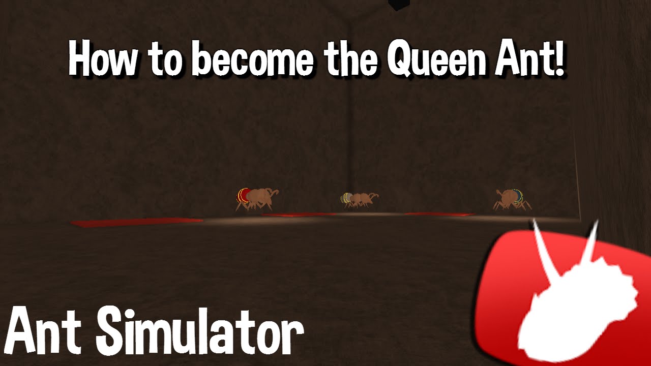 roblox-ant-simulator-roblox-ant-simulator-how-to-be-the-queen-ant-ant-code-2-youtube