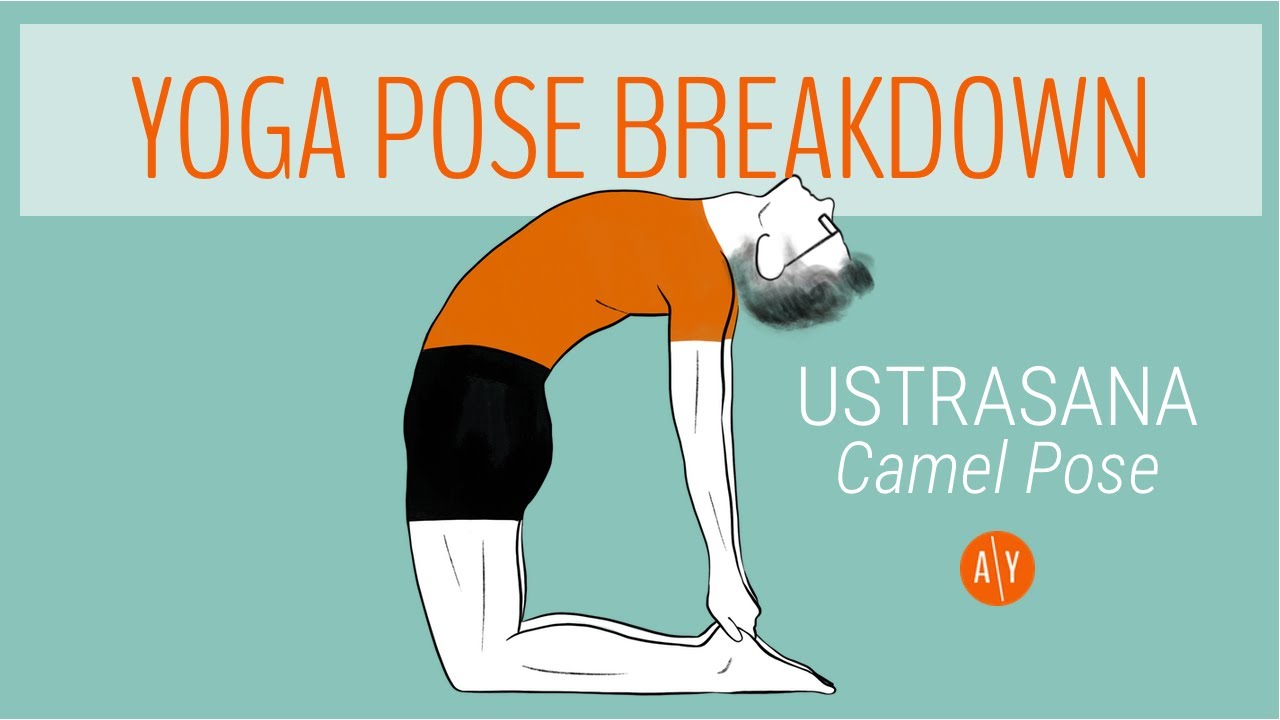 How To Sequence To Camel Pose - Rachel Scott