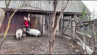 видео: Живу просто и счастливо / на краю исчезающего села картинка: Живу просто и счастливо / на краю исчезающего села