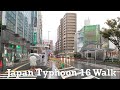 Japan Rain Walk Typhoon 16 Periphery 2021.10.1 ASMR Ambience Sound Sleep Meditate Relax Tokyo Suburb