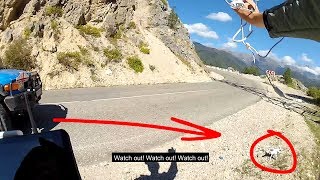 He almost drove over my drone!