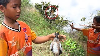 Primitive Slingshot Use To Shoot The Bird By Smart Boy, Slingshot, How To Make And Use