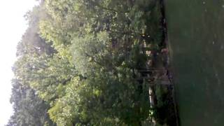 Cheat Lake Cove Tree Jump