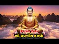 Hiểu Về Duyên Khởi: Cách Chuyển Hóa Nỗi Đau & Tìm Lại Bình Yên