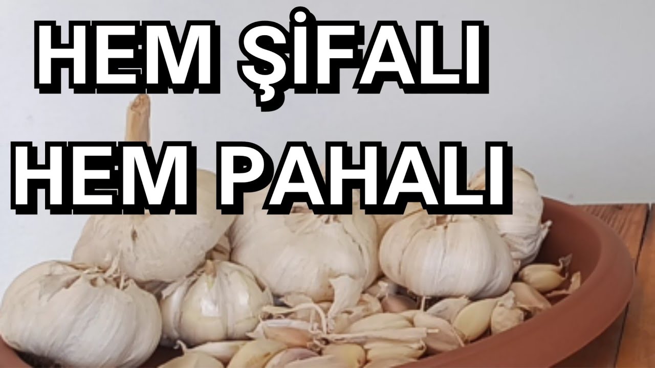 Sarımsak Nasıl Ekilir