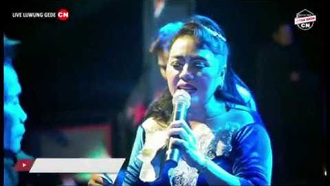 KIRIM SALAM RINDU || BUNDA MUMUN || CITRA NADA LIVE  ULTAH NOK BINTANG || LARANGAN || BREBES