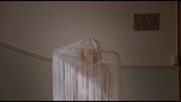 To Athena - St. Alker (Official Video)