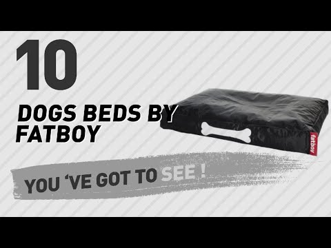 Video: Fatboy Doggielounge