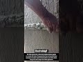 Decorative Cement Wall Finishing Technique !! #innovation