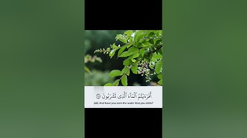 تلاوة محبّرة بصوت الشيخ سعدون حمادي.,