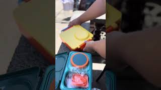 OmieBox V2 vs OmieBox UP