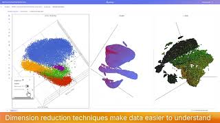 Demo: single cell analysis in Illumina Connected Multiomics