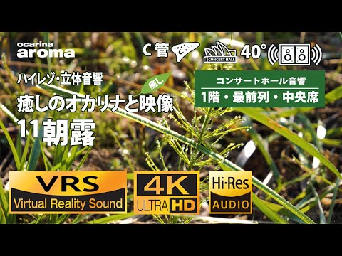 🔊11【癒しのオカリナと映像・ハイレゾ立体音響・４K映像】Ocarina aroma 朝露/ヒーリング/安らぎ/くつろぎ/穏やかな気分