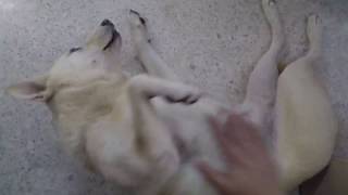 Vlog I Lost My Tooth Kuala Lumpur, Malaysia