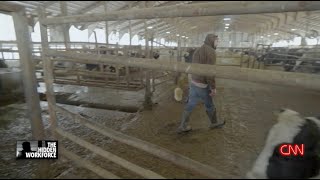 "The Hidden Workforce : Undocumented in America" - A Block