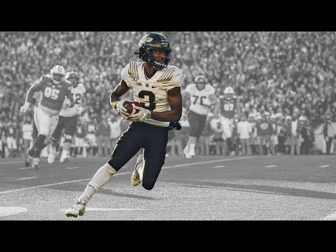 Smoothest WR in CFB 🔥 David Bell ᴴᴰ