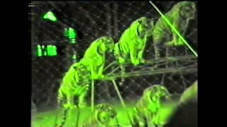 Circus World, Flordia (1981)
