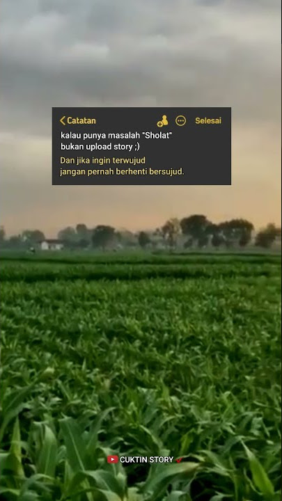 STORY WA KEKINIAN 30 DETIK TERBARU || STORY WA DJ SHOLAWAT VIRAL TIKTOK 2021