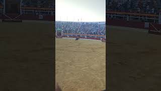 medina del campo 2023 . Luis gomez