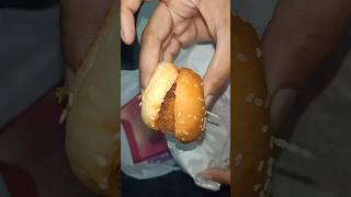 A small burger ? food tasty yammy kolkata chicken burger fastfood mioamore
