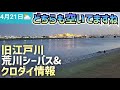【2026年4月21日】旧江戸川&荒川シーバス&クロダイ情報