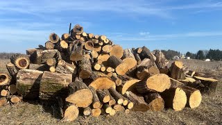 Splitting firewood