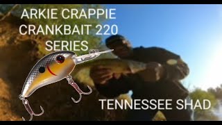 ARKIE CRAPPIE CRANKBAIT TENESSESEE SHAD 220 SERISE