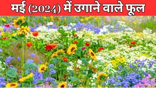 मई (2024) में उगाने वाले फूल / Flowers To Grow In May