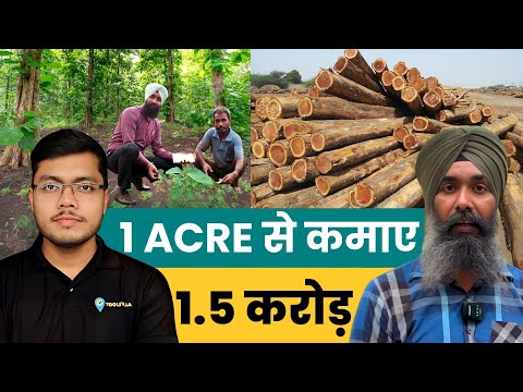 1.5 crore in 1 acre | Teak wood Farming (Sagwan Farming) | Hybrid Tissue Culture Teak Farming - video from ToolsVilla