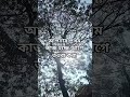 আপনার প্রথম কাজ হচ্ছে আগে তওবা করা।🥰🥰#motivation #islamic #viral #waz#status #shortsvideo