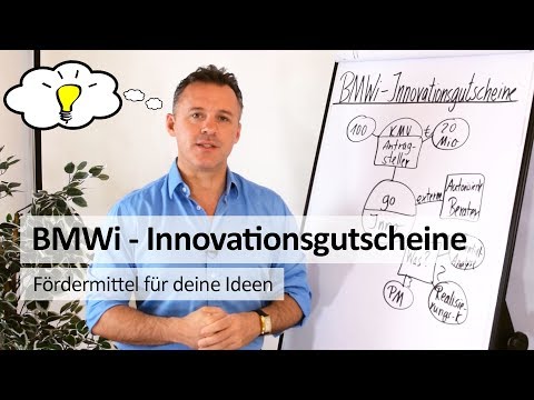 BMWi-Innovationsgutschein
