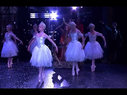 Video: Nutcracker Biji Bergaris Tidak Mencolok