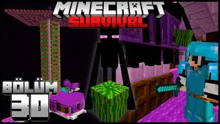 Yeni̇ Enderman Farmi Sınırsız Karpuz Bloğu, Xp Ve İnciminecraft Survival Bölüm 30