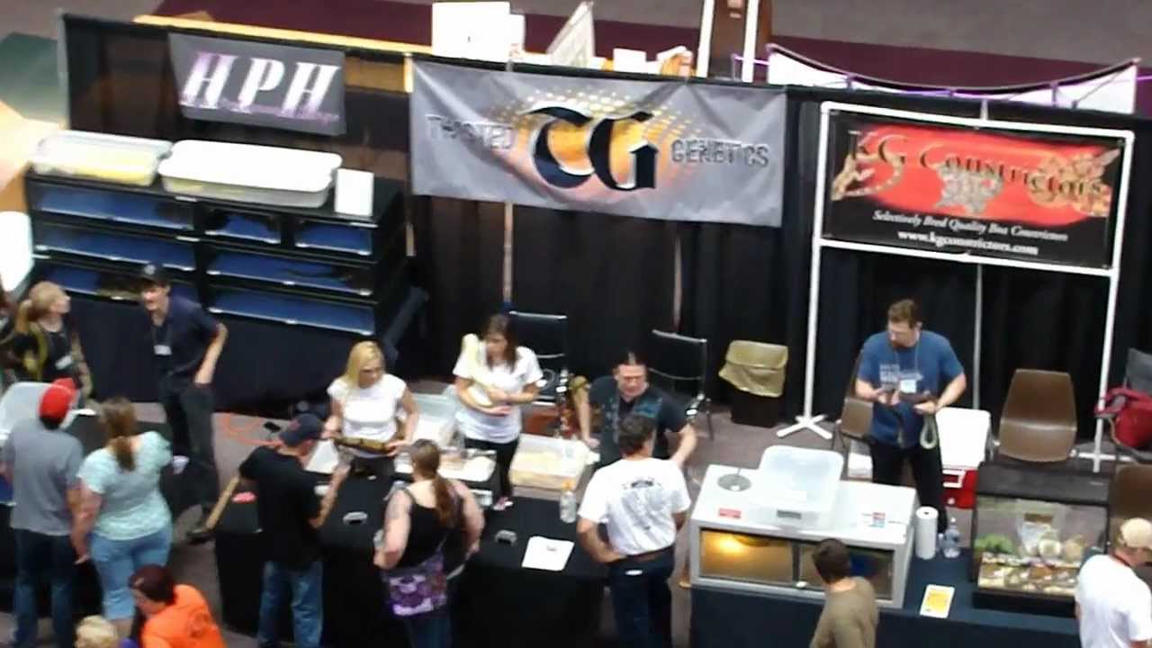 mayhem Rocky Mountain Reptile Expo May 2012 Part 1 of 4
