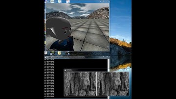 VOR with iCub Simulator