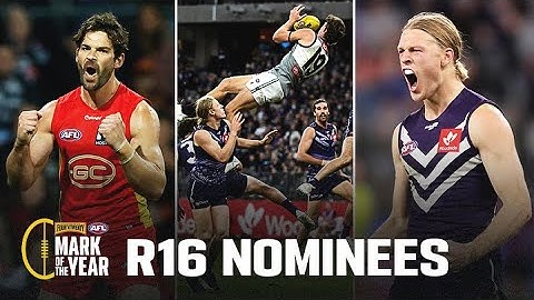 Sun, Docker and Power gun take huge marks | Rd 16 Four
