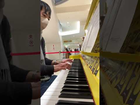【小田原で弾いてみた】千本桜🌸　23.1.19 cover by inuneko #ストリートピアノ