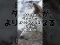 Q:三匹の子豚は正当防衛になりますか? #Shorts