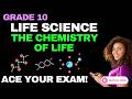 Life Sciences Grade 10 | Chemistry of Life ⚗️ | Molecules & Compounds (CAPS/NSC)