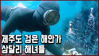 아흔이 되어도 나는 바다로 간다! 제주도 성산읍, 검은 해안가 삼달리 해녀들 (KBS_2019.01.20)