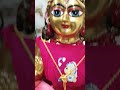 Amar cute gopal krishna vlog bengali viralladugopal