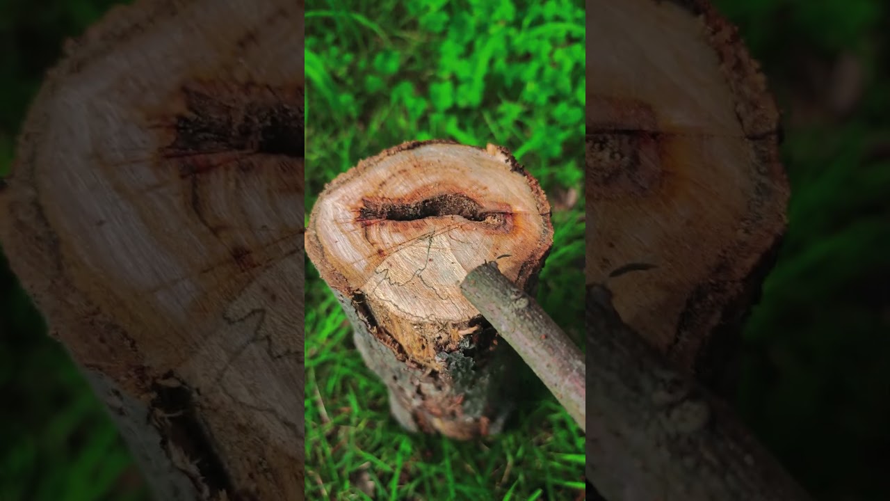 ⚒️Axe Hand Protection! 🪚