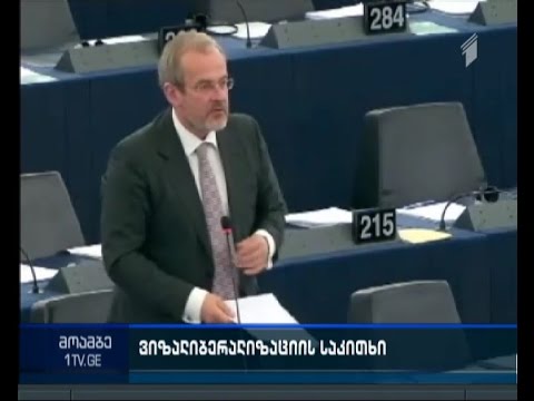 ევროსტრუქტურებში საქართველოსთვის სავიზო რეჟიმის ლიბერალიზაციაზე იმსჯელებენ