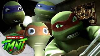 ninja turtles discover conspiracy mystery tmnt 2012