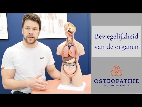 Video: Osteopaatarts - Wie Is Hij En Wat Geneest? Afspraak