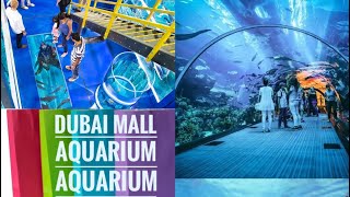 How big is the dubai mall aquarium ...