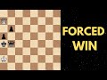 White to Move and Win — A Forced Finish #Chess #ChessPuzzle #WhiteToMove