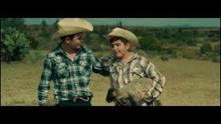 DEL NEGOCIANTE - Los Plebes del Rancho de Ariel Camacho (Video Oficial) | DEL Records